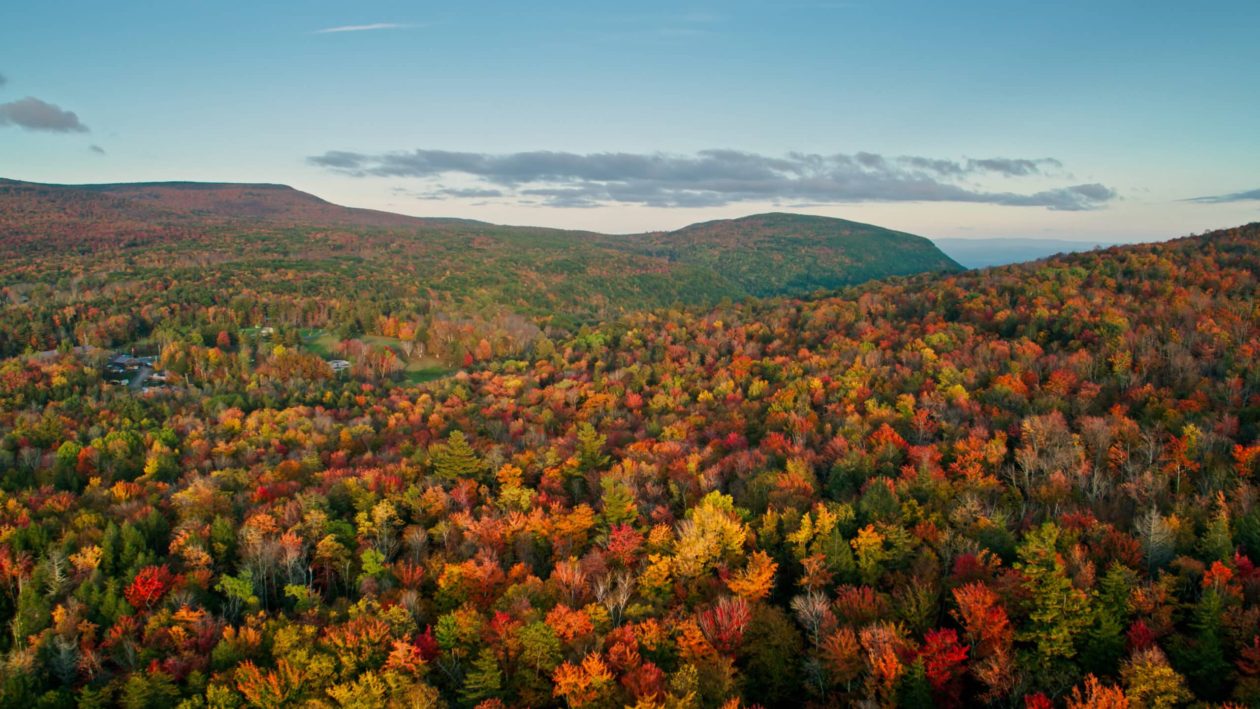 Aerial view of fall foliage in the Catskills