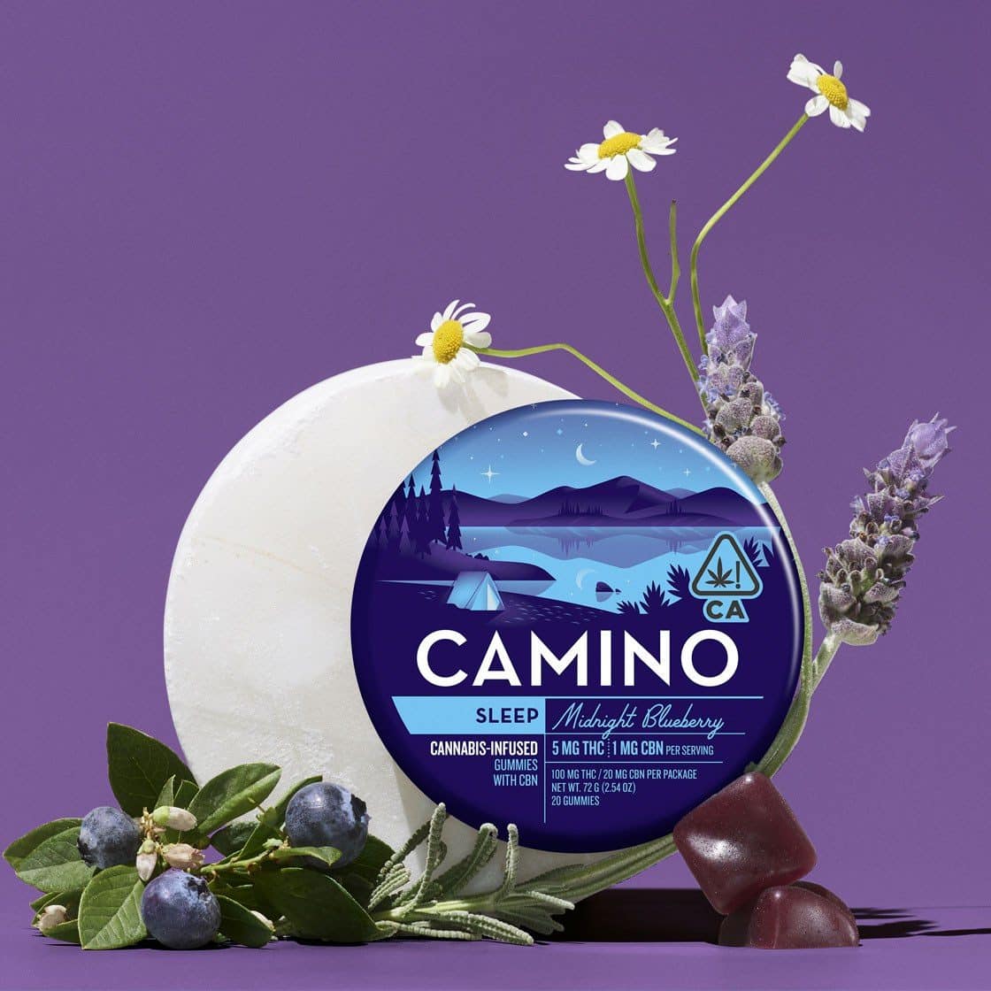camino_sleep_brandmicro